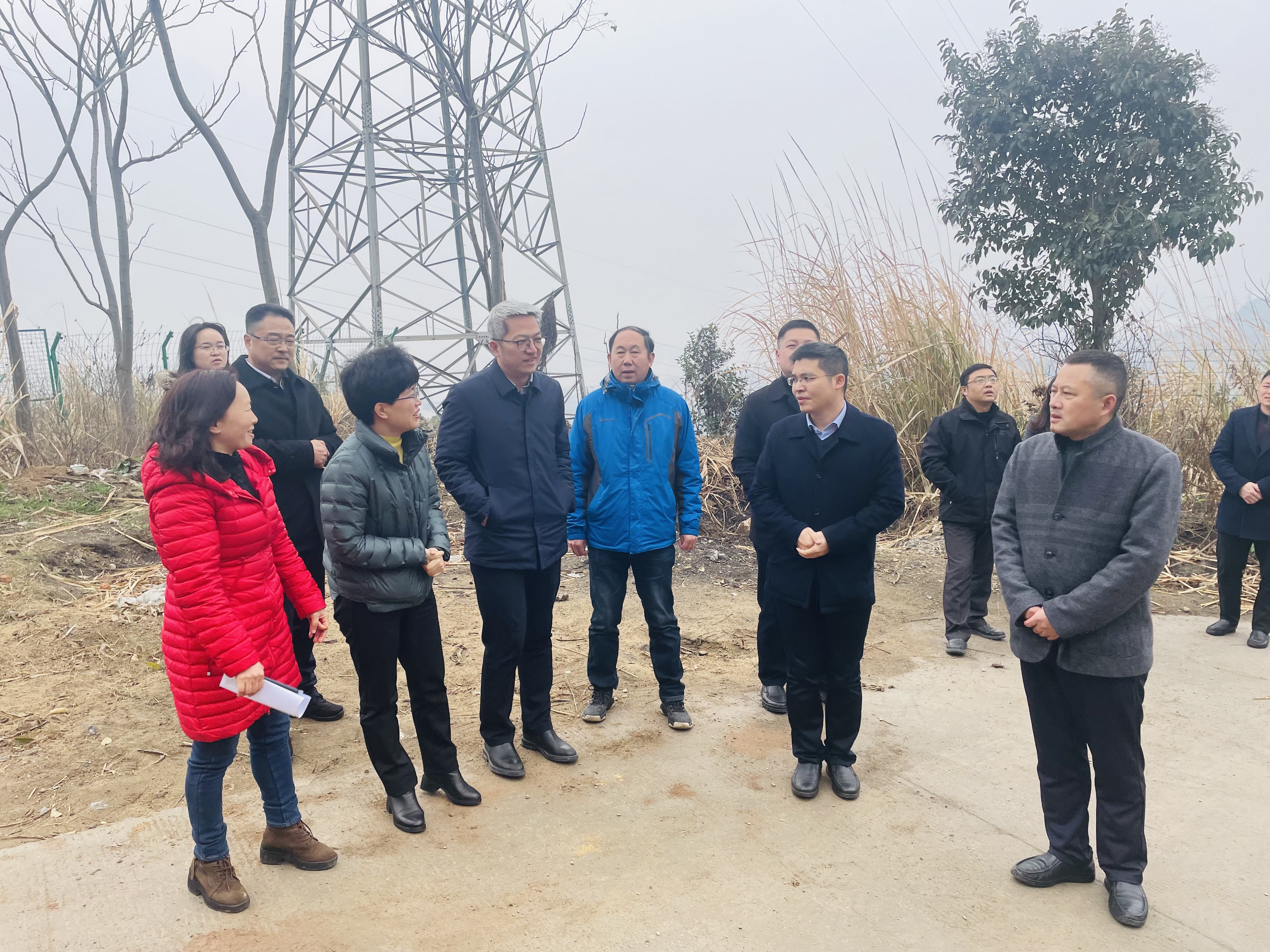 周庆荣调研西塞山区林长制工作